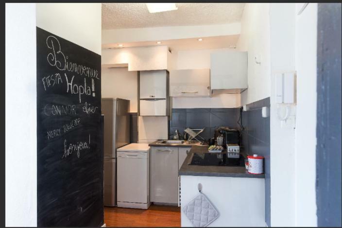 Gite Hopla 2 Chambres 科尔马 外观 照片